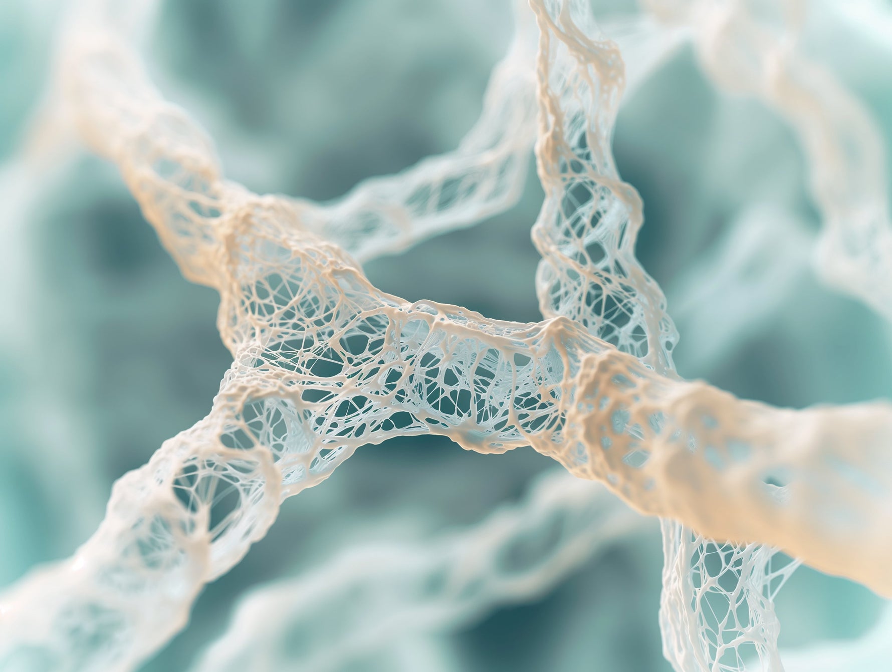 Collagen
