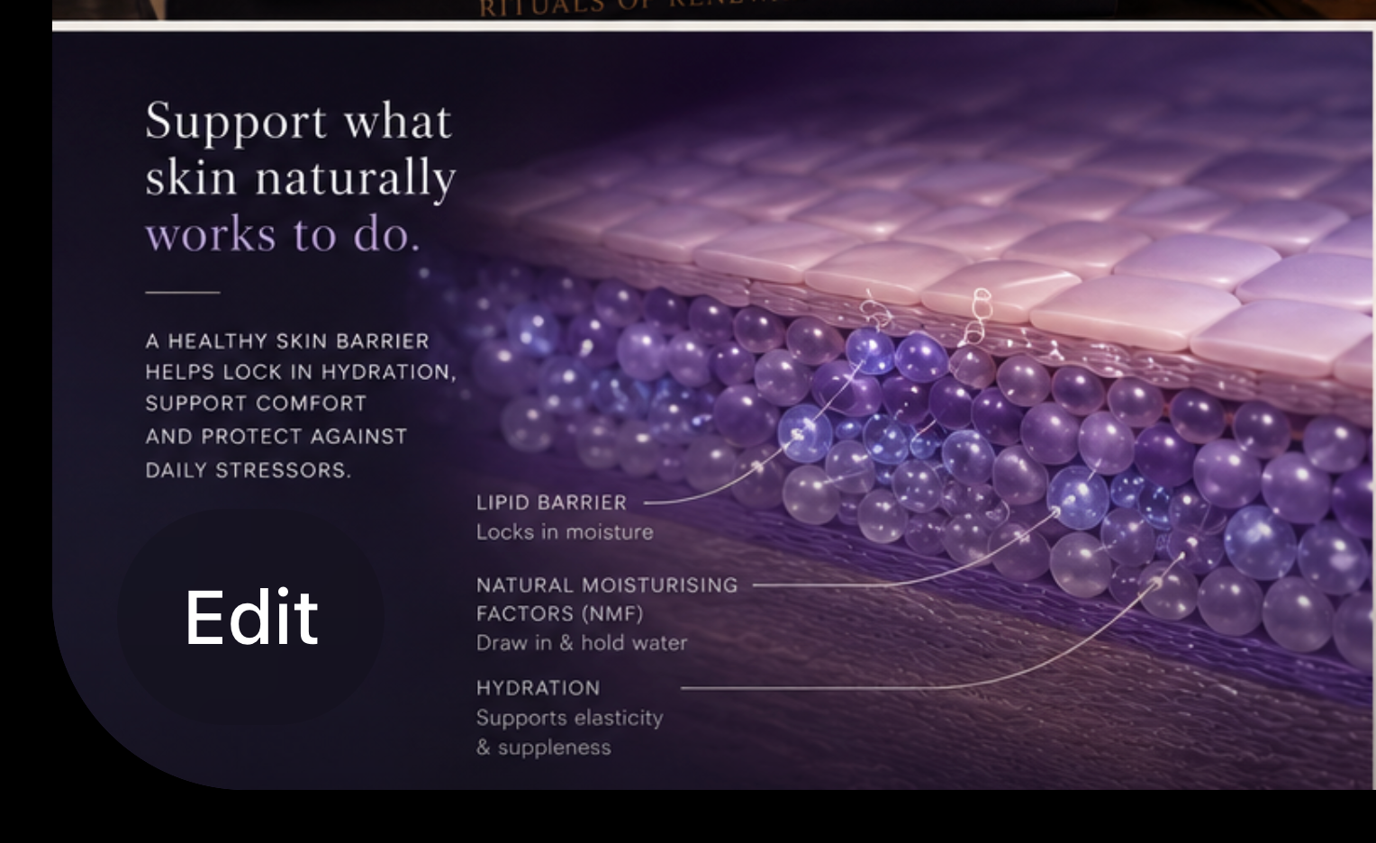 The Night Skin Ritual: How to Support Renewal, Resilience and Skin Longevity While You Sleep