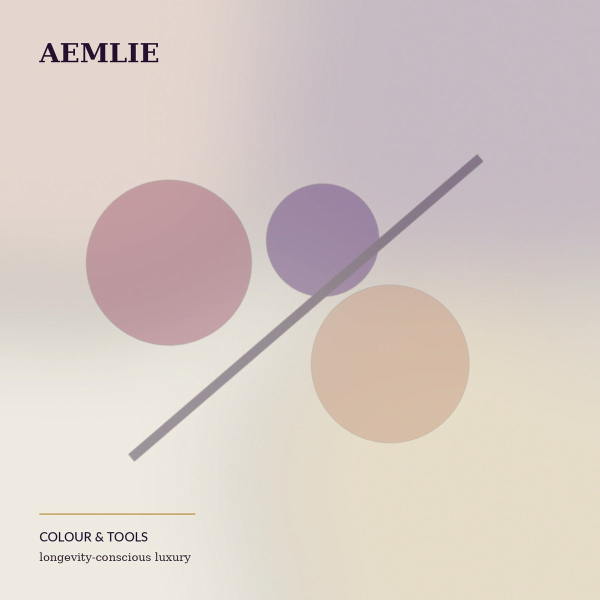 Brush Set (6 pcs) — AEMLIE concept image